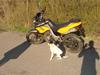 Cagiva Canyon 500 Solgt