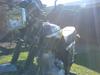 Geely Grand Puma JL 150-9