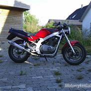 Suzuki GS 500  SOLGT