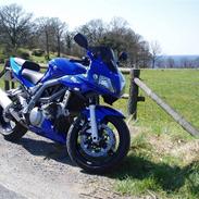 Suzuki sv1000sk7, blå.