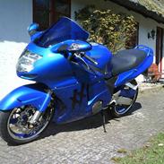 Honda cbr 1100xx (Blackbird)