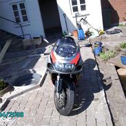 Suzuki GSXR 600