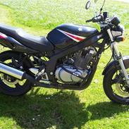 Suzuki Gs500