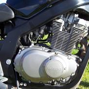 Suzuki Gs500