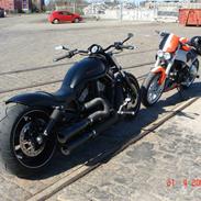 Harley Davidson v rod special "solgt"