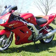 Suzuki sv 1000 s (SOLGT)