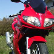 Suzuki sv 1000 s (SOLGT)