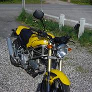 Ducati MONSTER