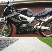 Honda VTR 1000F FIRESTORM SOLGT