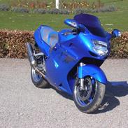 Honda CBR 1100 BLACKBIRD