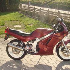 Suzuki GS 500 E 