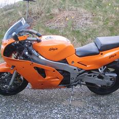 Kawasaki ZXR750 H1 (SOLGT)