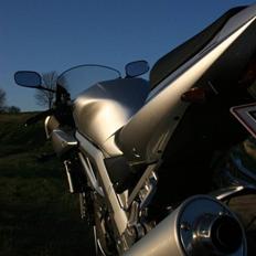 Suzuki SV1000S