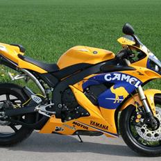 Yamaha R1 Camel replica