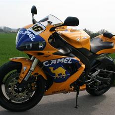 Yamaha R1 Camel replica