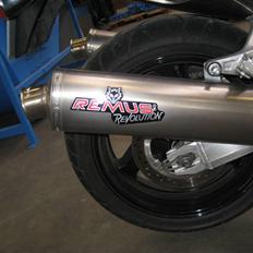 Honda CBR 1100XX Blackbird DØD*