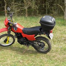 Honda XL500R aka geden