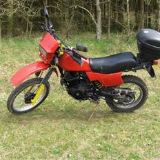 Honda XL500R aka geden