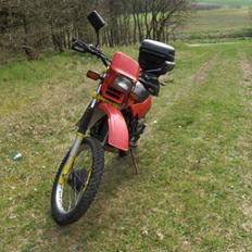 Honda XL500R aka geden