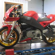 Buell XB12R Firebolt