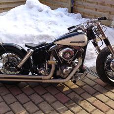 Harley Davidson FLH Duo Glide.
