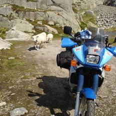 Yamaha XTZ 660 Teneré *SOLGT*