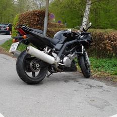 Suzuki SV1000S