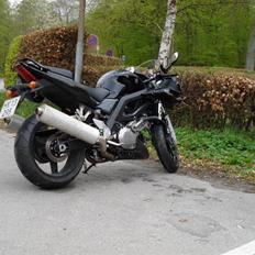Suzuki SV1000S