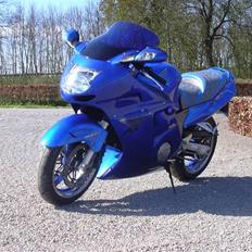Honda CBR 1100 BLACKBIRD
