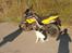 Cagiva Canyon 500 Solgt