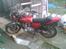 Suzuki GS 550 D - Kort efter den kom hjem..
