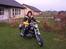 Triumph Tiger 100