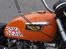 Triumph t 120 r - Triumphmærket skal være hvidt. 