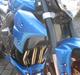 Yamaha FZ1 Naked