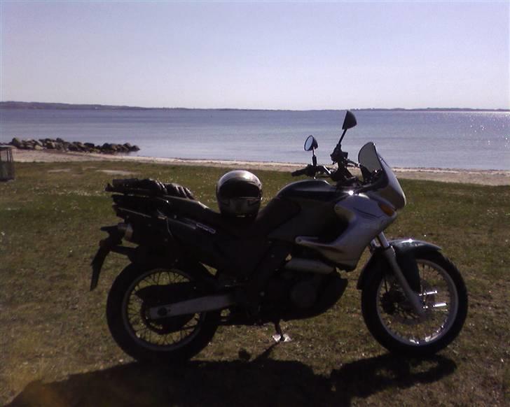 Aprilia Pegaso 650 ie billede 5