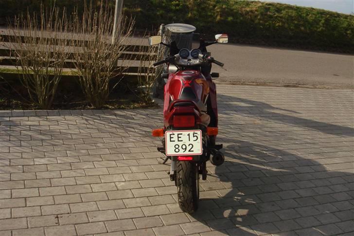 Suzuki GS 500 E  billede 6