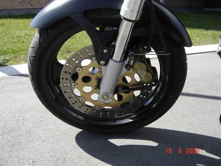 Ducati monster 600 dark - brembo :-) billede 6