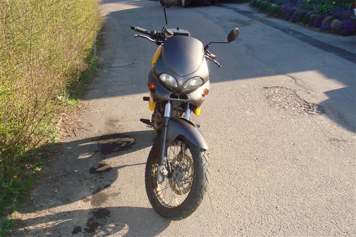 Cagiva Canyon 500 Solgt billede 3