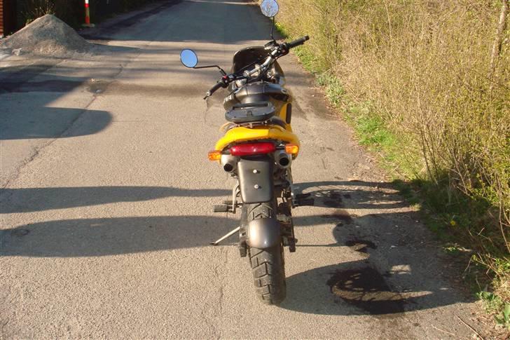 Cagiva Canyon 500 Solgt billede 4