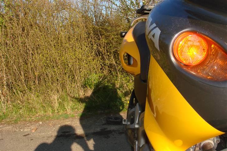 Cagiva Canyon 500 Solgt billede 7