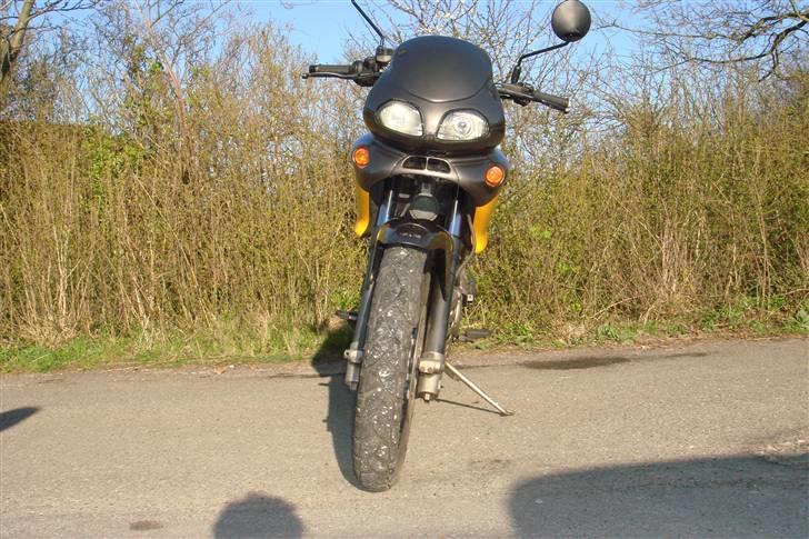 Cagiva Canyon 500 Solgt billede 10