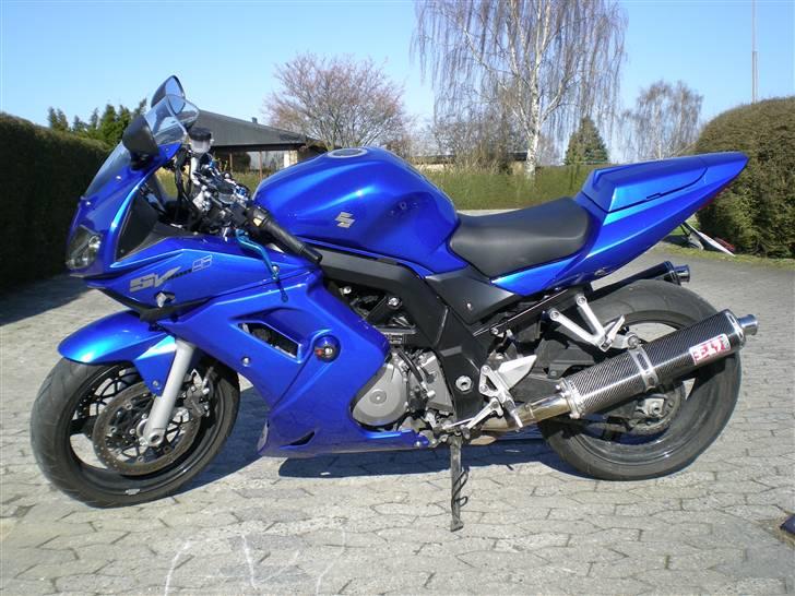 Suzuki SV 1000S *STJÅLET* billede 1