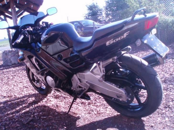 Honda cbr 600 billede 4