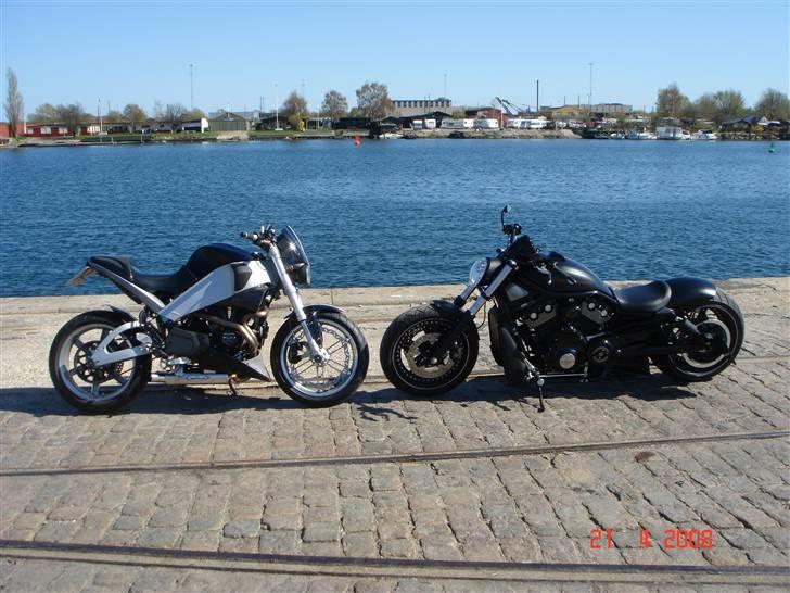 Harley Davidson v rod special "solgt" billede 4