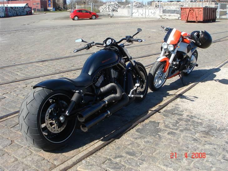 Harley Davidson v rod special "solgt" billede 5