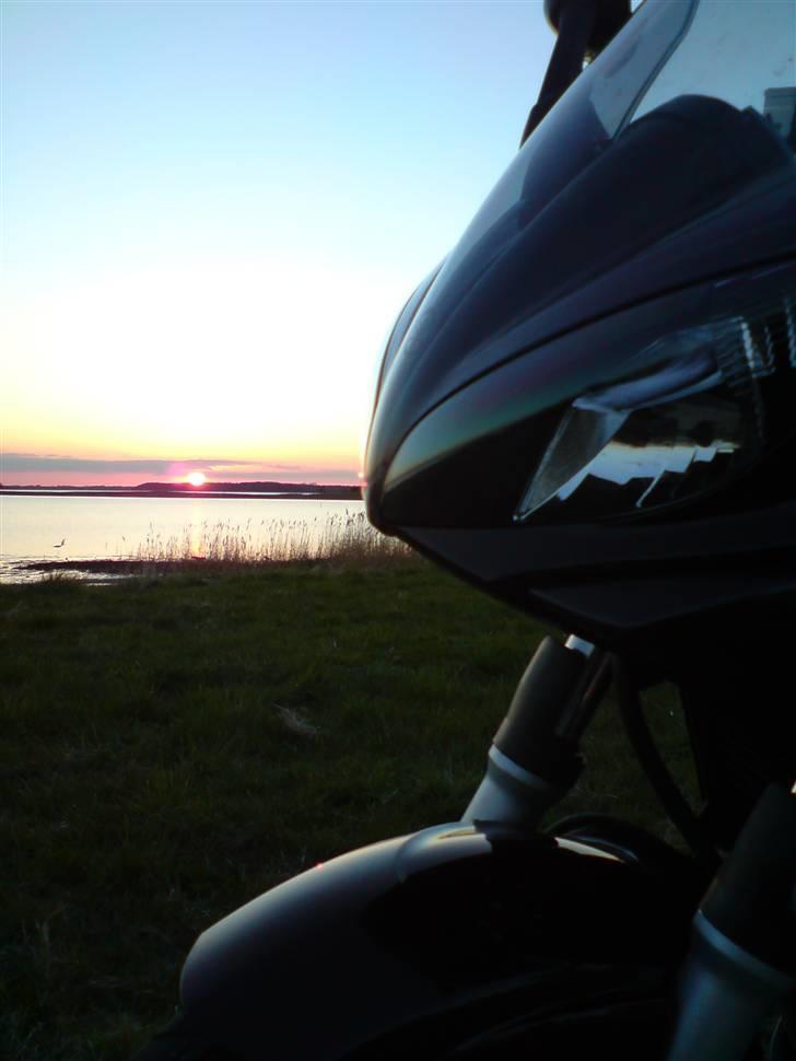 Yamaha FZ6s *Død * - Roskilde fjord billede 5