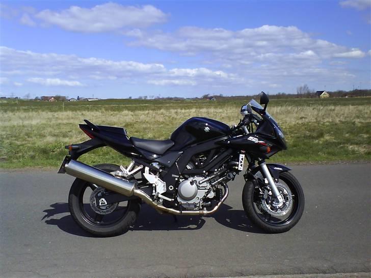 Suzuki SV 650 S billede 2