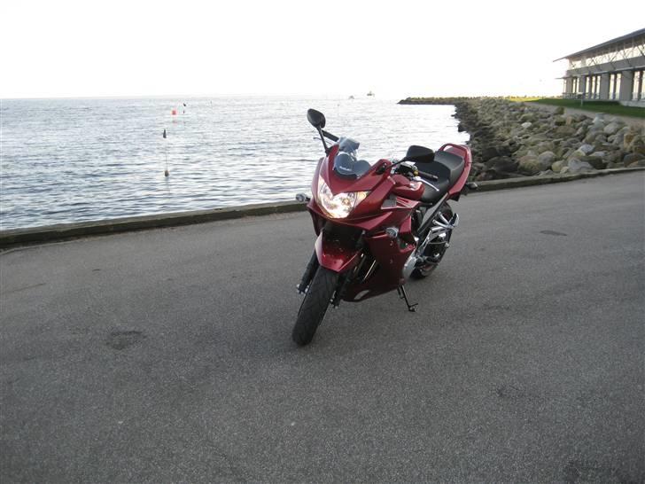 Suzuki GSF 1250 SAK8 * Solgt * billede 3