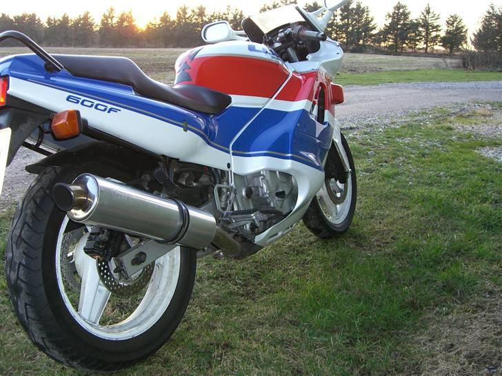 Honda cbr 600  pc23 billede 7