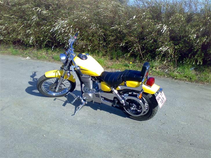 Suzuki savage ls billede 5